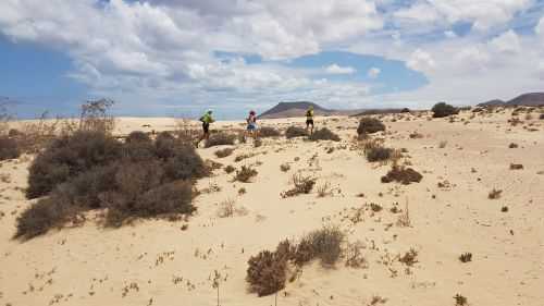 Foto offerta FUERTEVENTURA DESERT RUN, immagini dell'offerta FUERTEVENTURA DESERT RUN di Ovunque viaggi.